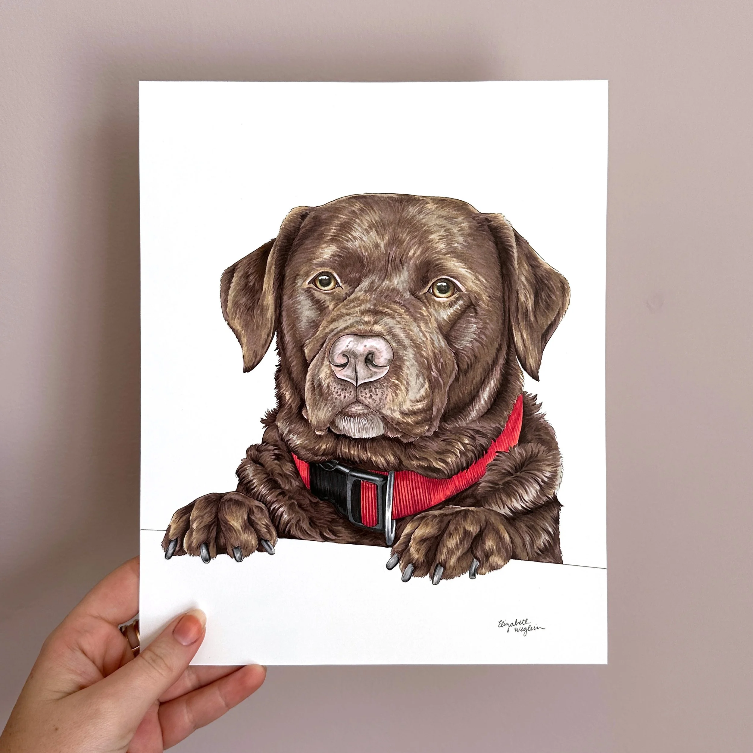 Pet Portrait Commission - 8 x 10 inches