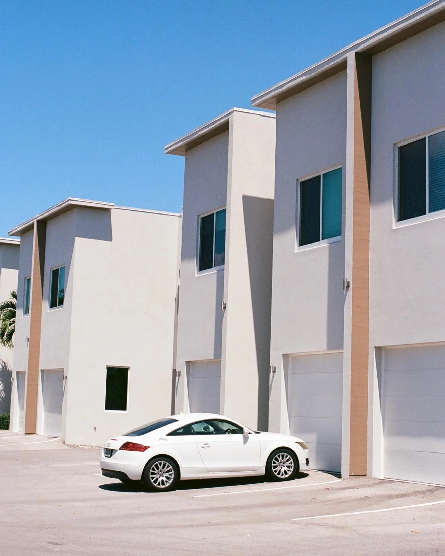 color synergy | #35mm
