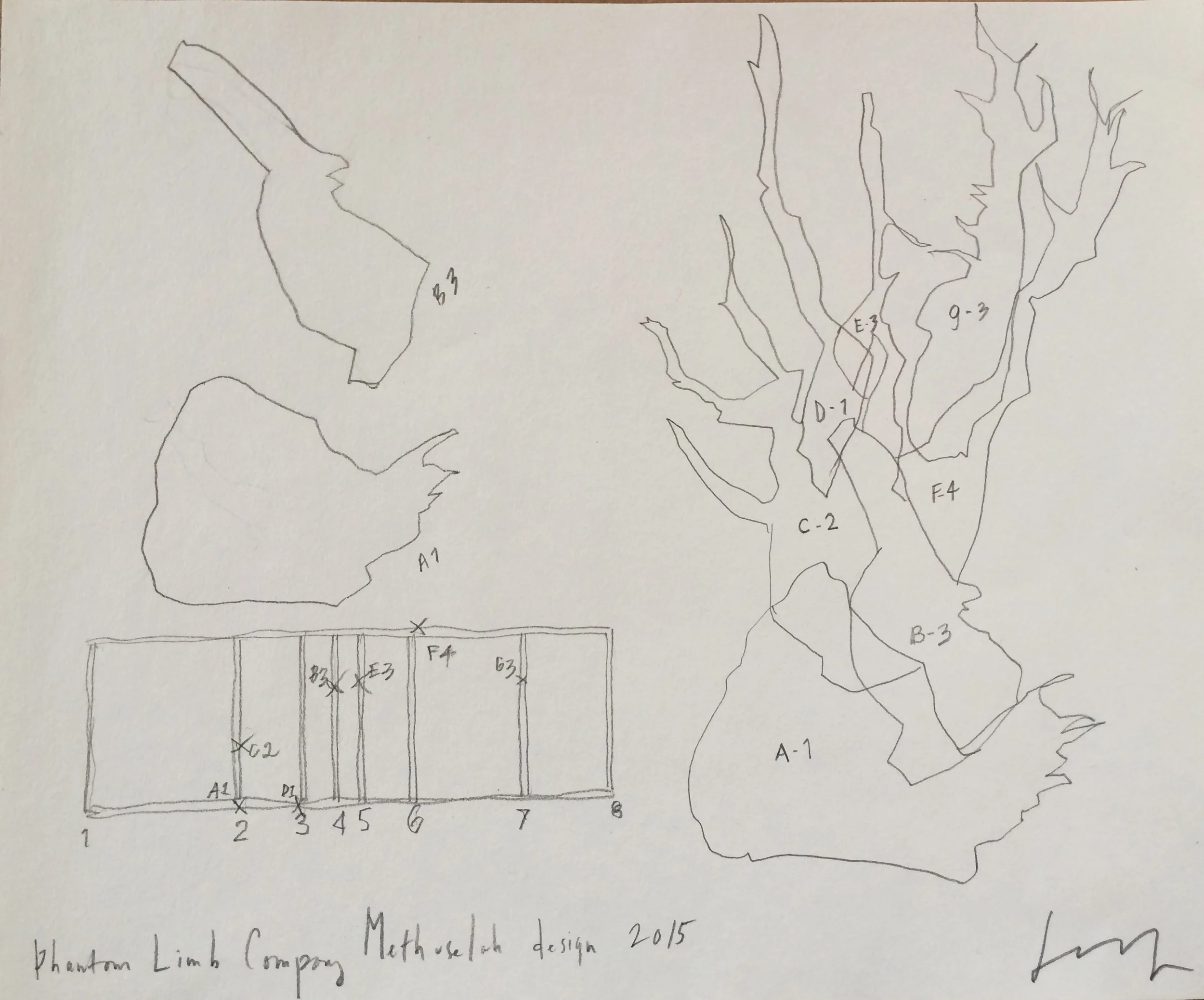methuselah_assembly.jpg