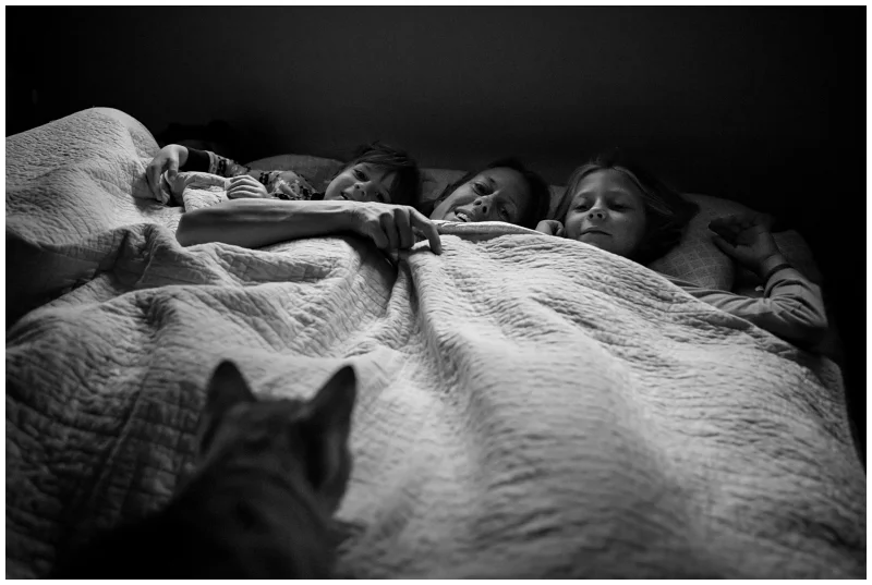 _MG_2218-Edit copy.jpg