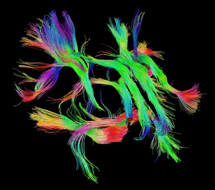 THE HUMAN CONNECTOME PROJECT - MAP TO YOUR THOUGHTS