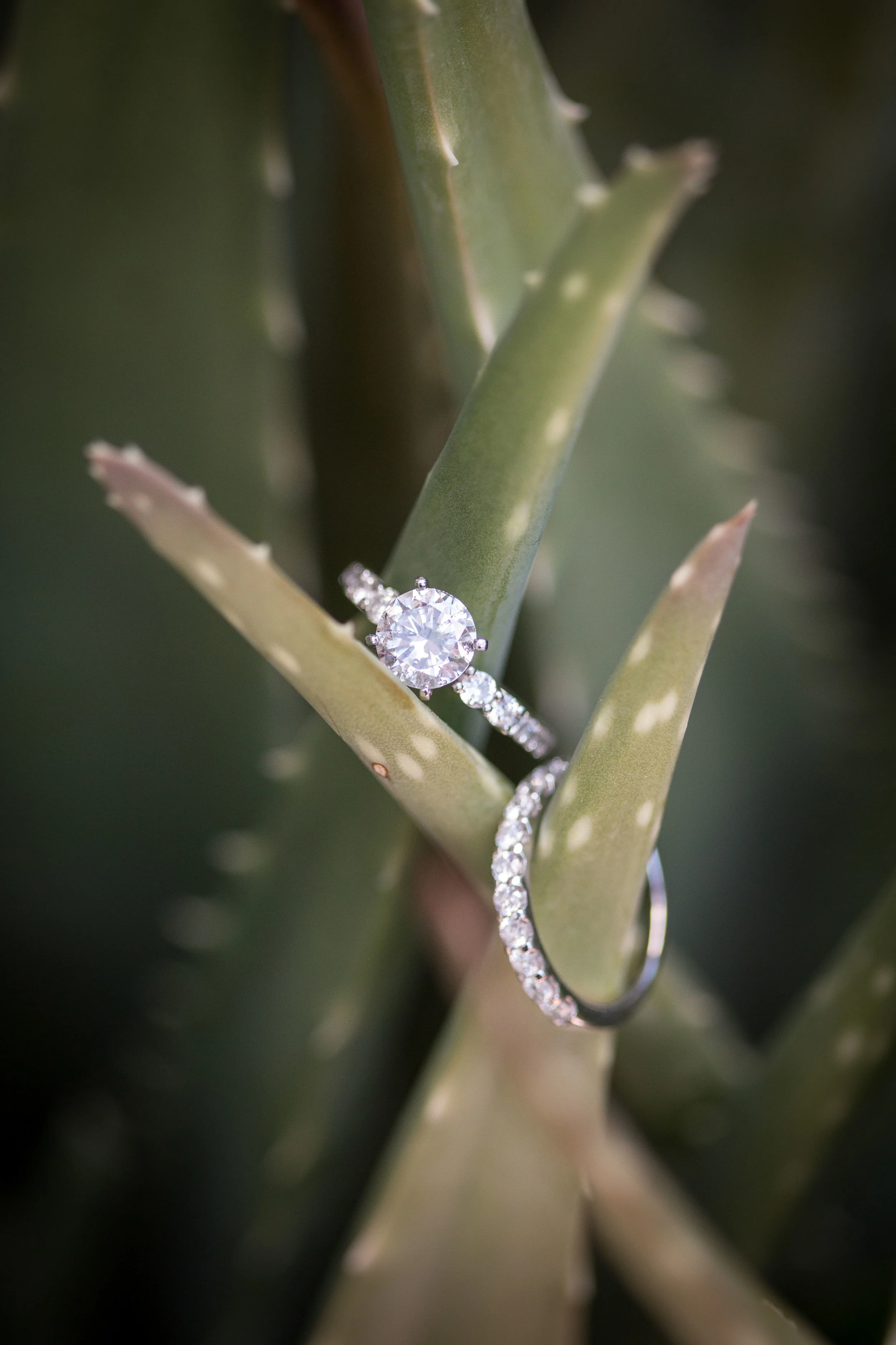 SNPWeddings-42.jpg