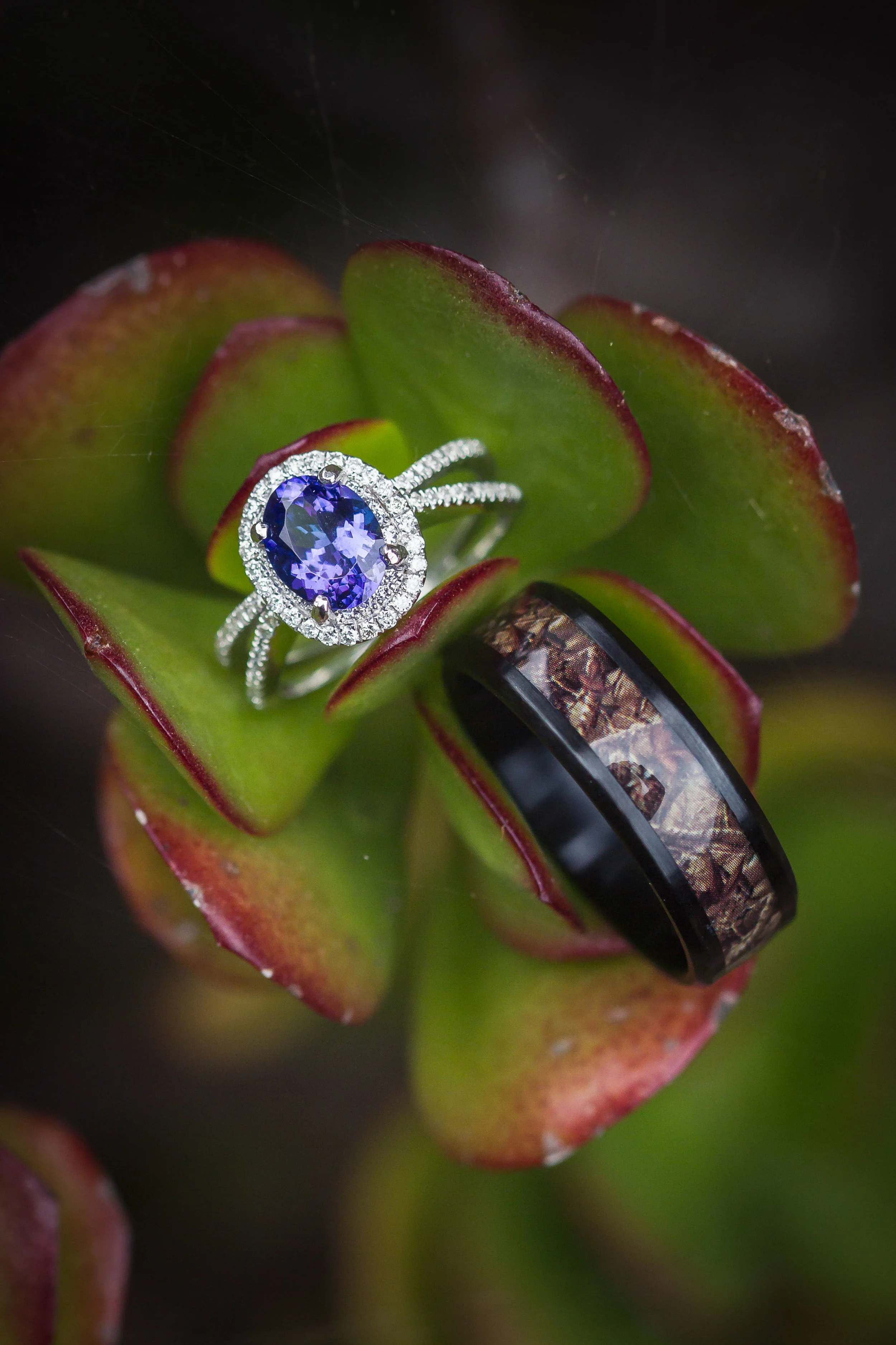 SNPWeddings-164.jpg
