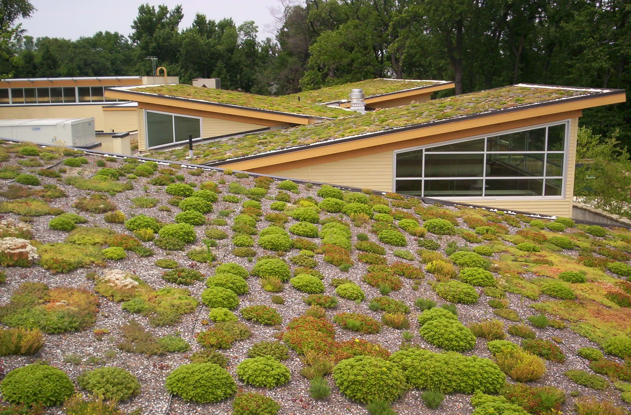 The Power Of A Green Roof