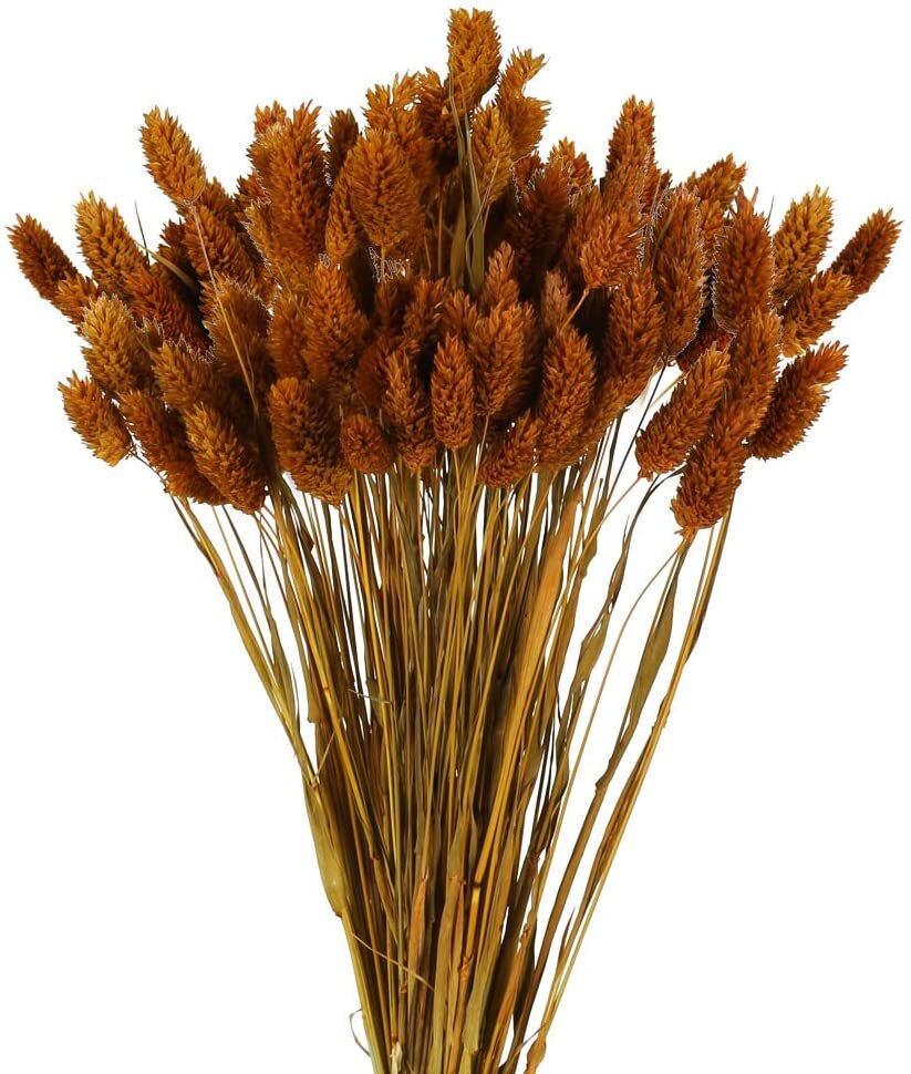 60 Piece Natural Dried Flowers