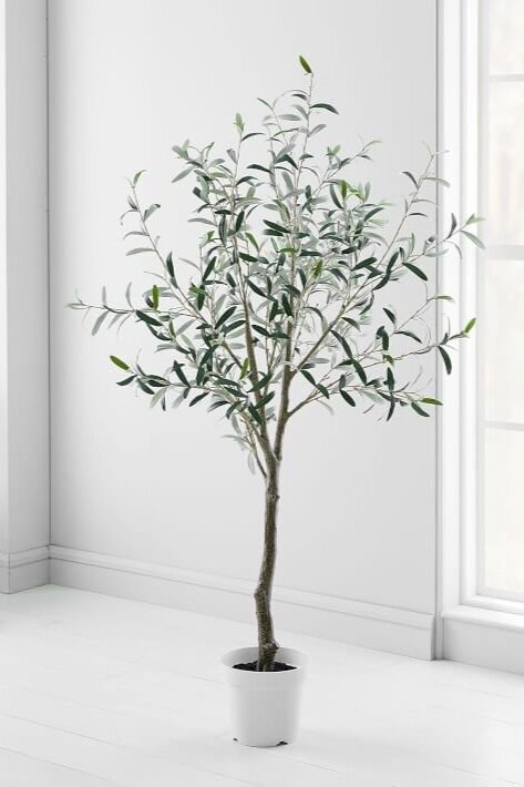 West Elm Faux Olive Tree