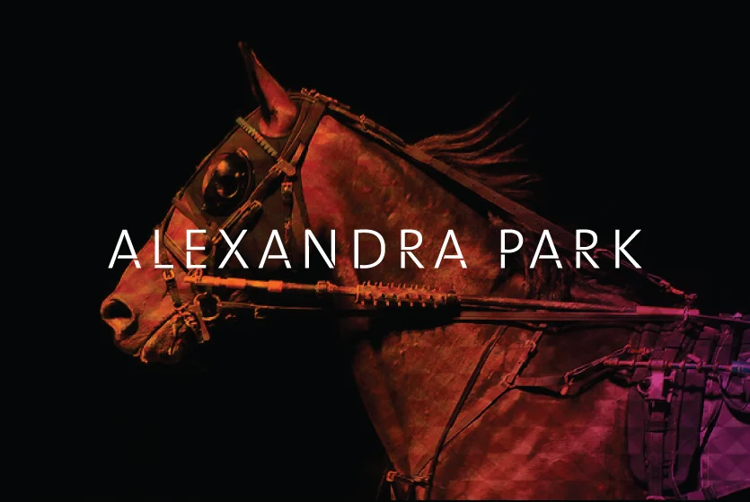 Alexandra Park-07.jpg