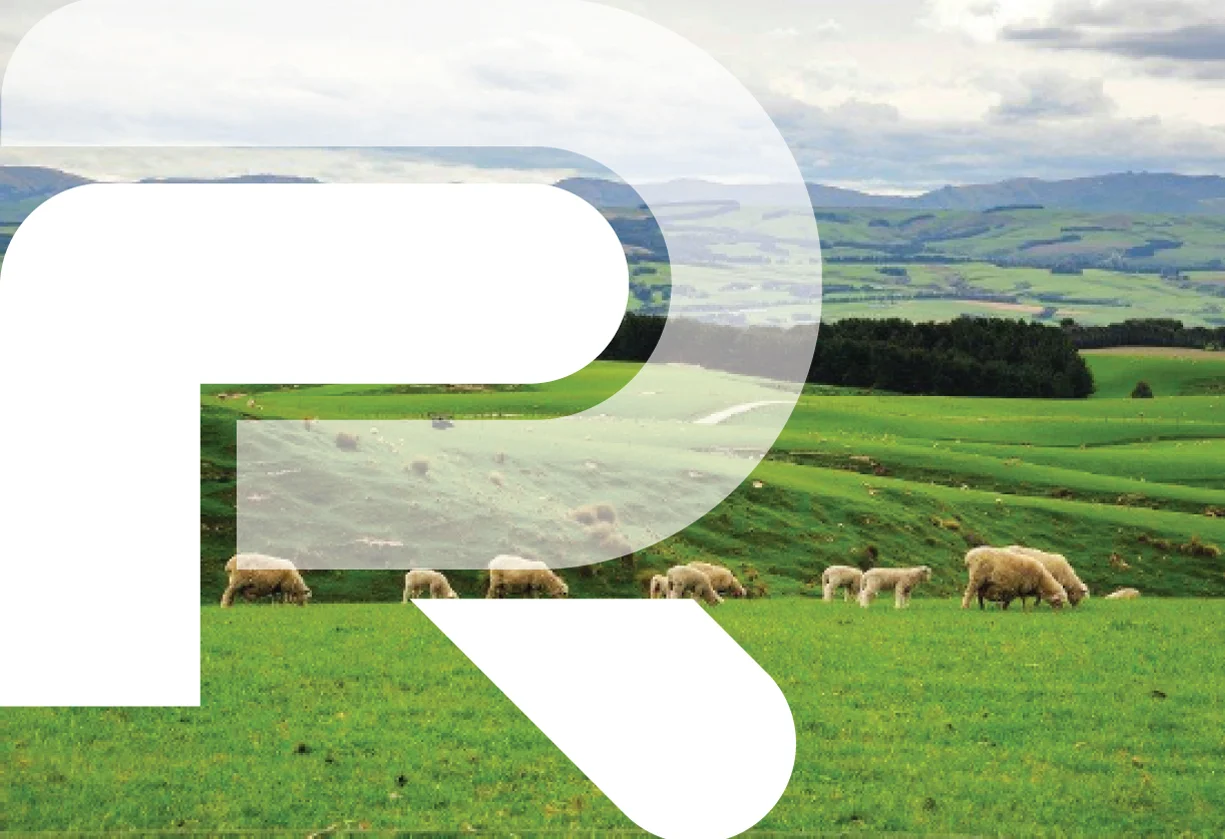 Rural TV_web-05.jpg