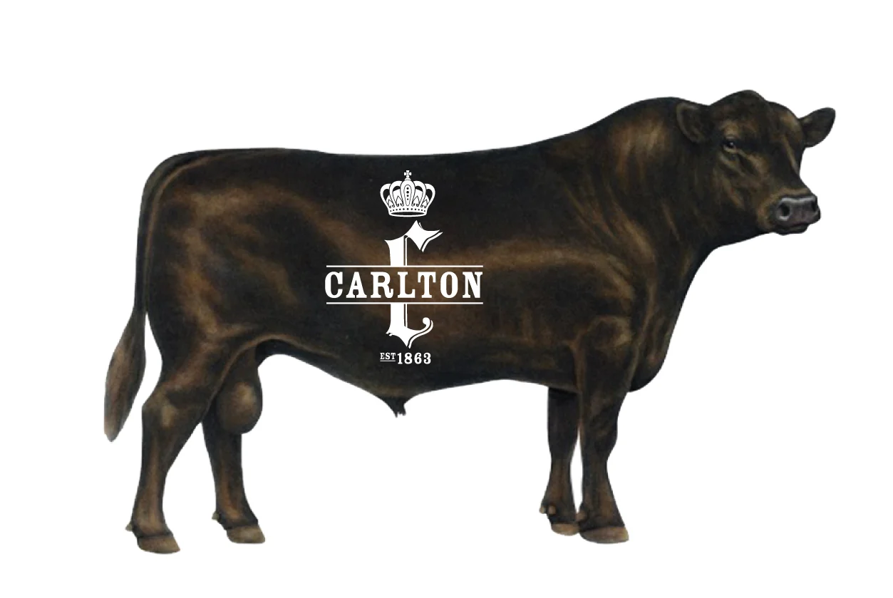 Carlton Hotel_web-06.jpg