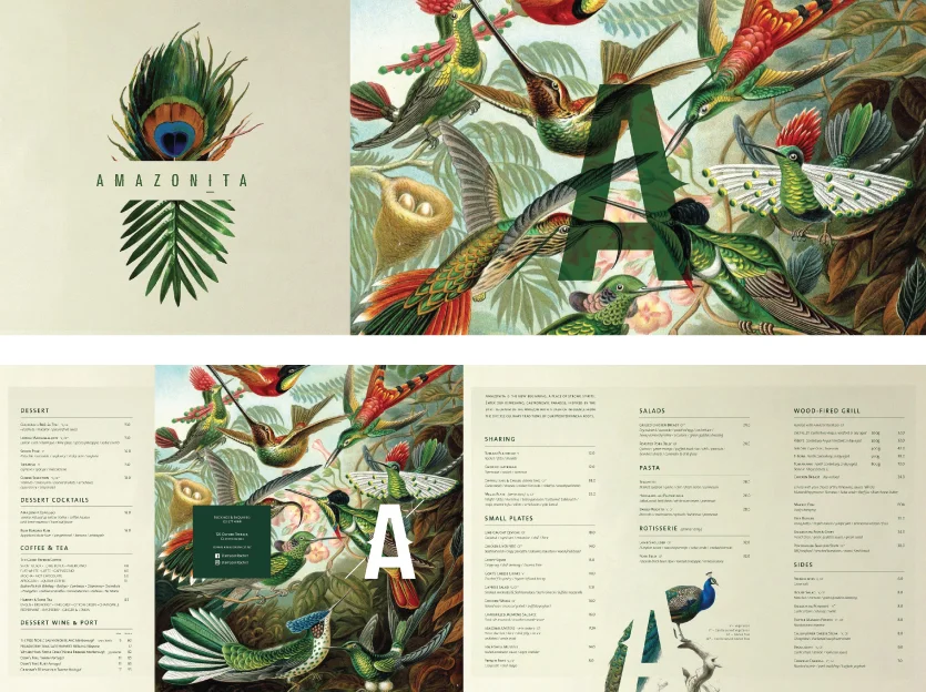 Amazonita Web template_Artboard 10.jpg