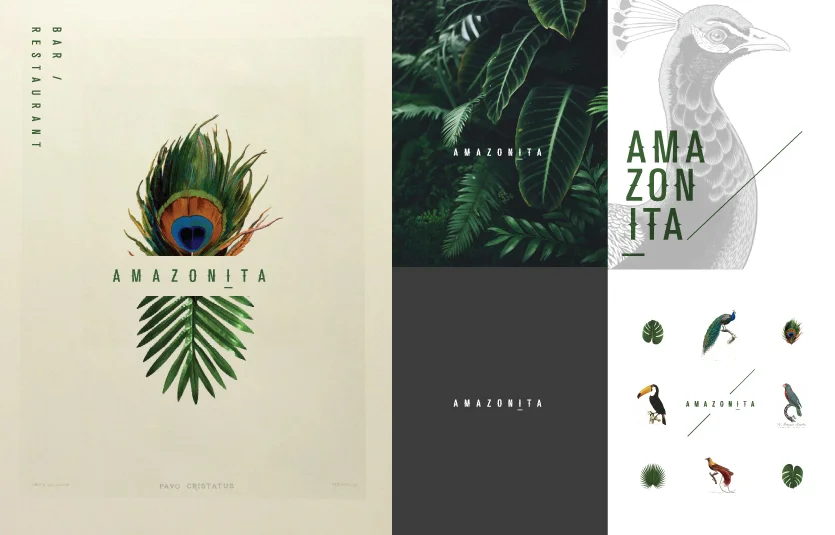 Amazonita Web template_Artboard 12.jpg