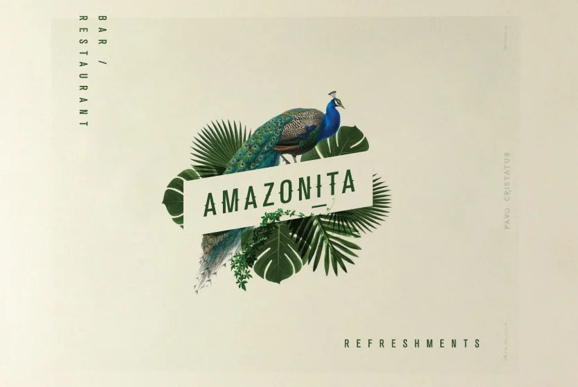 Amazonita Web template-04.jpg