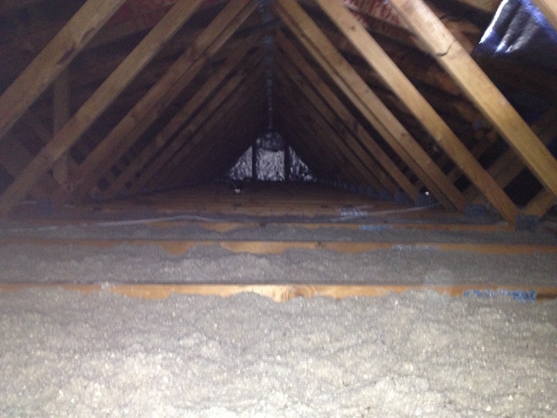 Roof void
