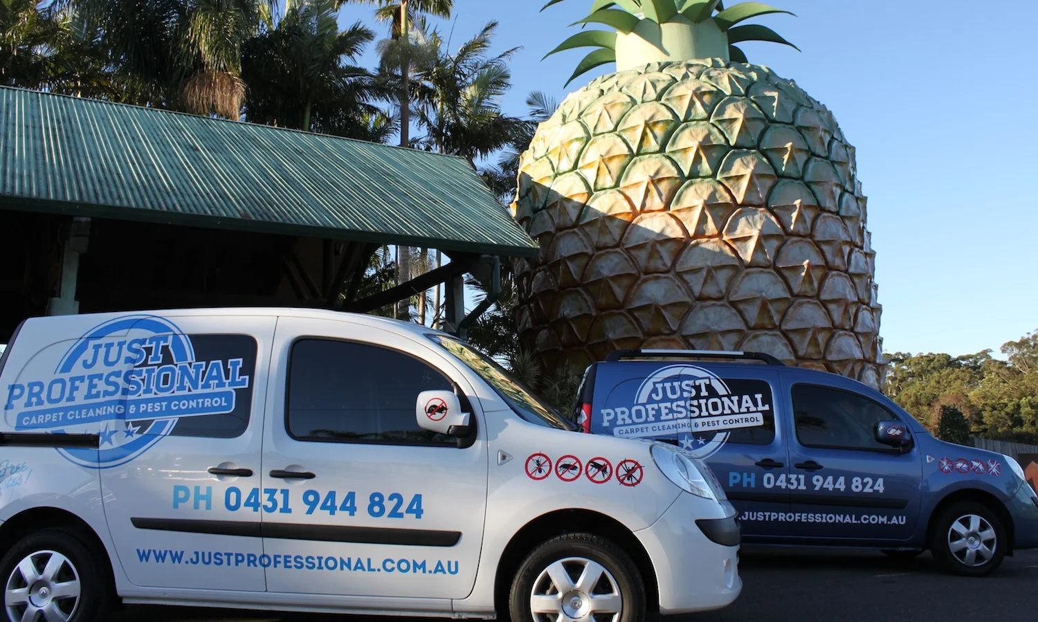 Just Professional Big Pineapple 1.jpeg