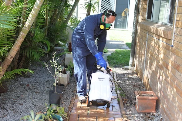 Outdoor treatment.jpg