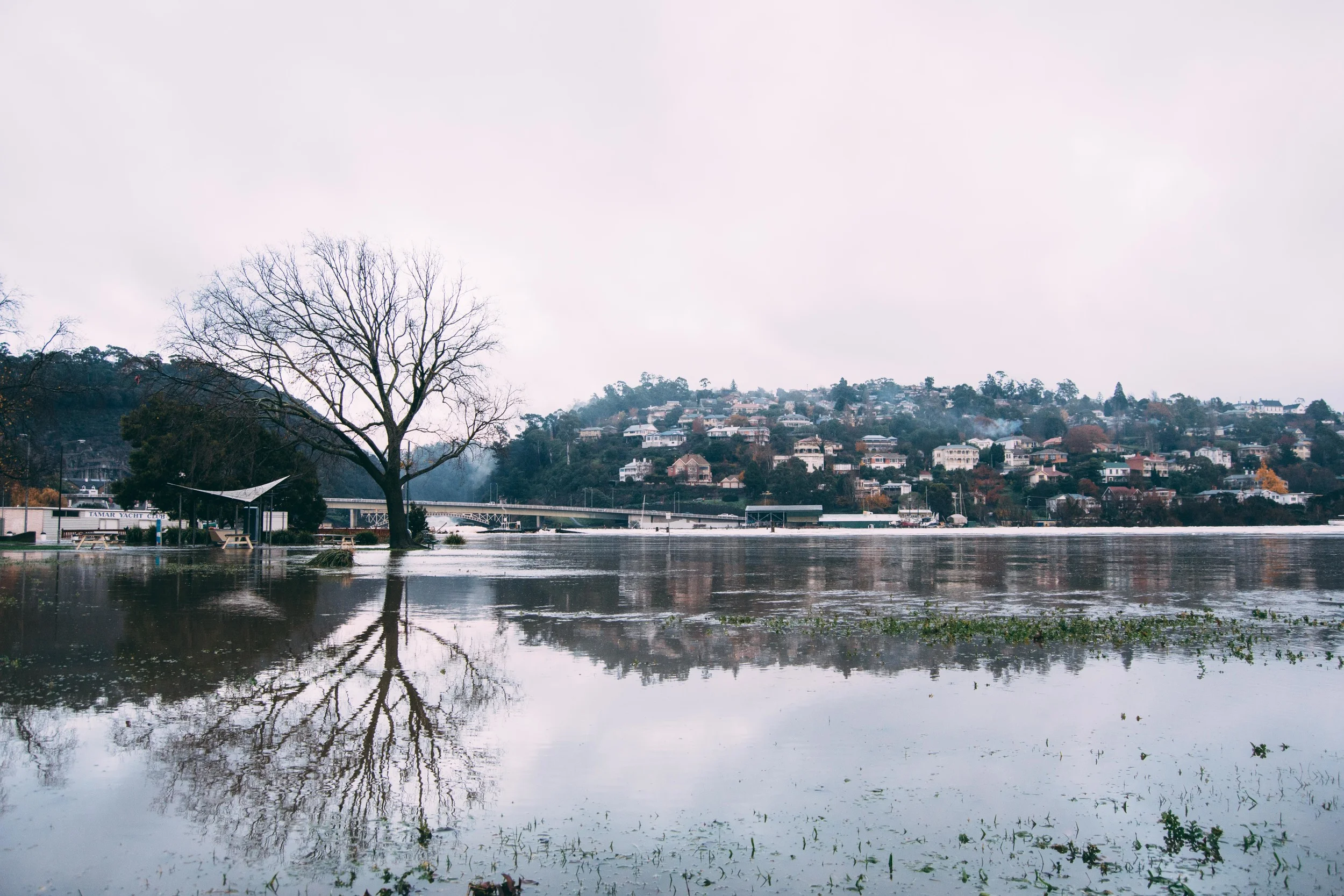 Royal Park, Launceston