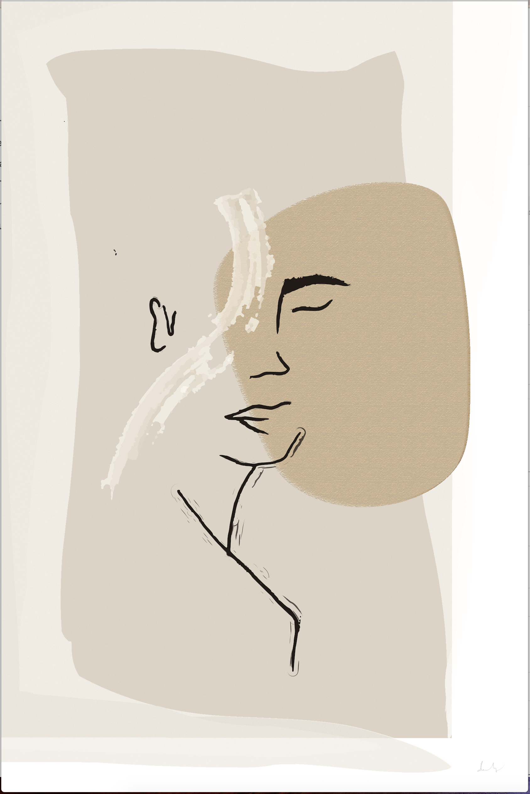 Screen Shot 2025-01-27 at 1.35.18 PM.png