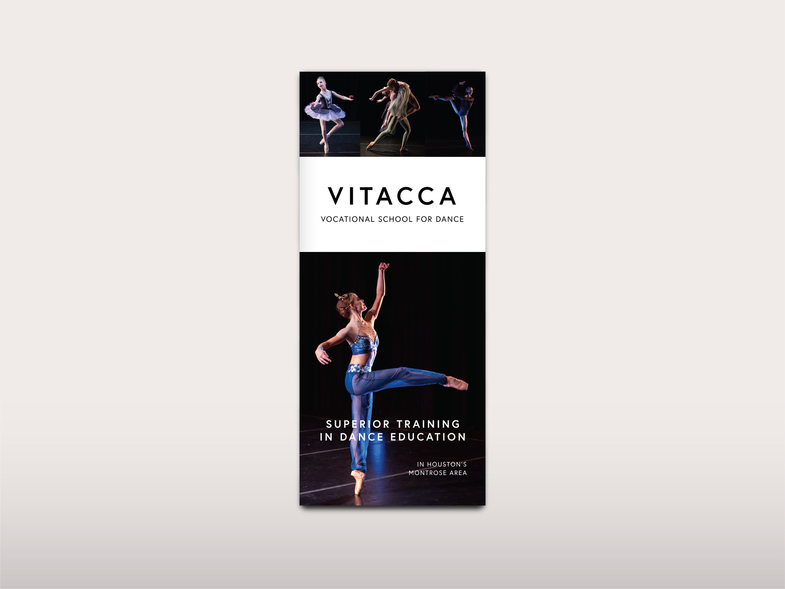 Syd Franz_Vitacca School Trifold Brochure.jpg