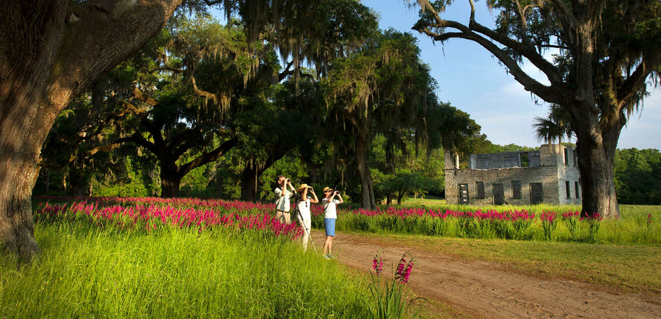 Spring Island