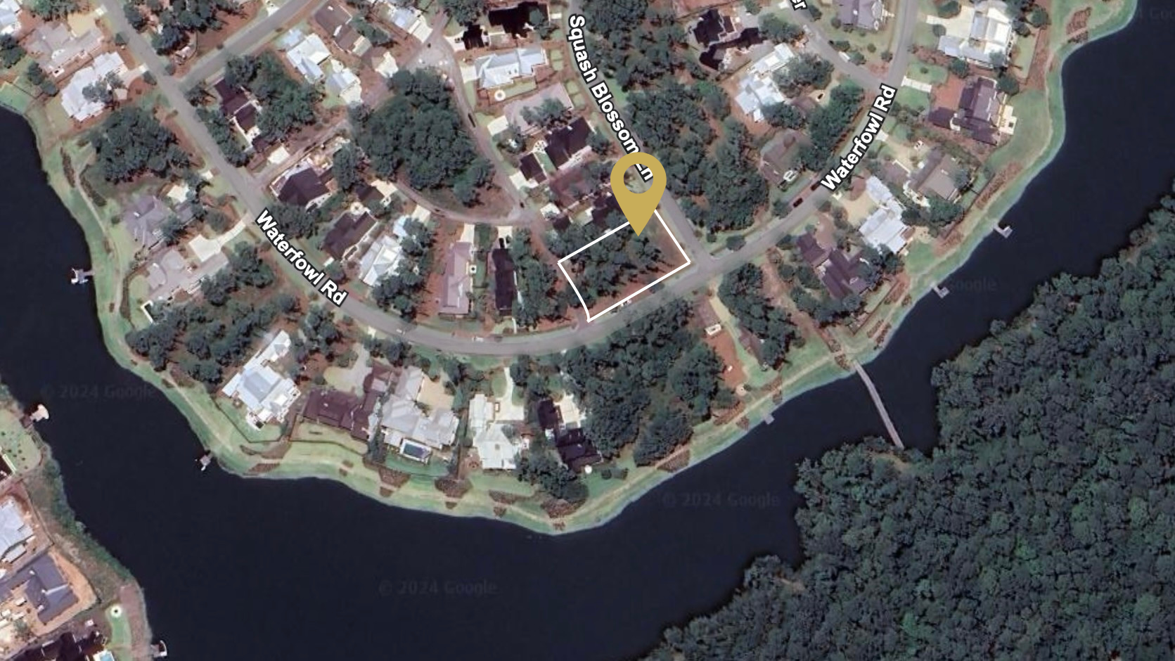 Squah Bottom Ln.png