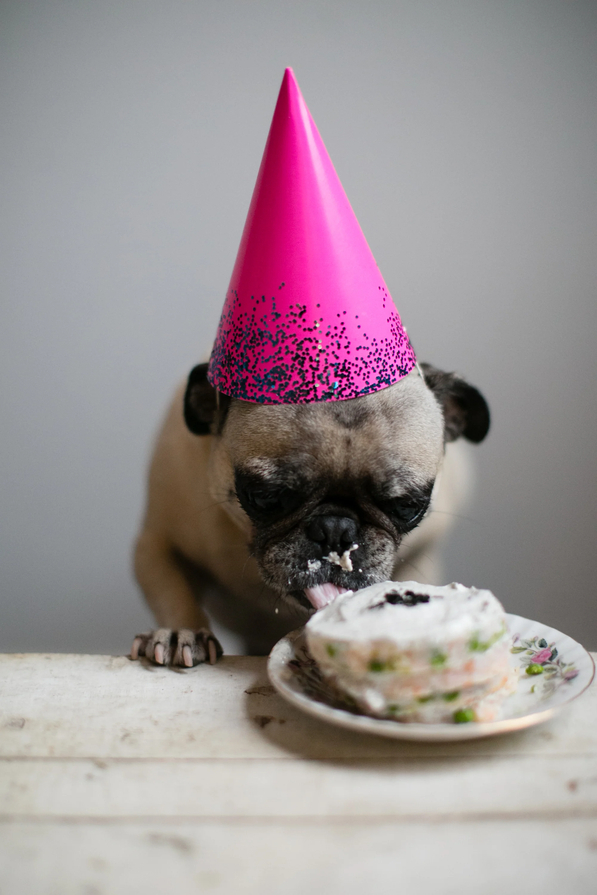 Barkday Cakes Part 3_041.jpg