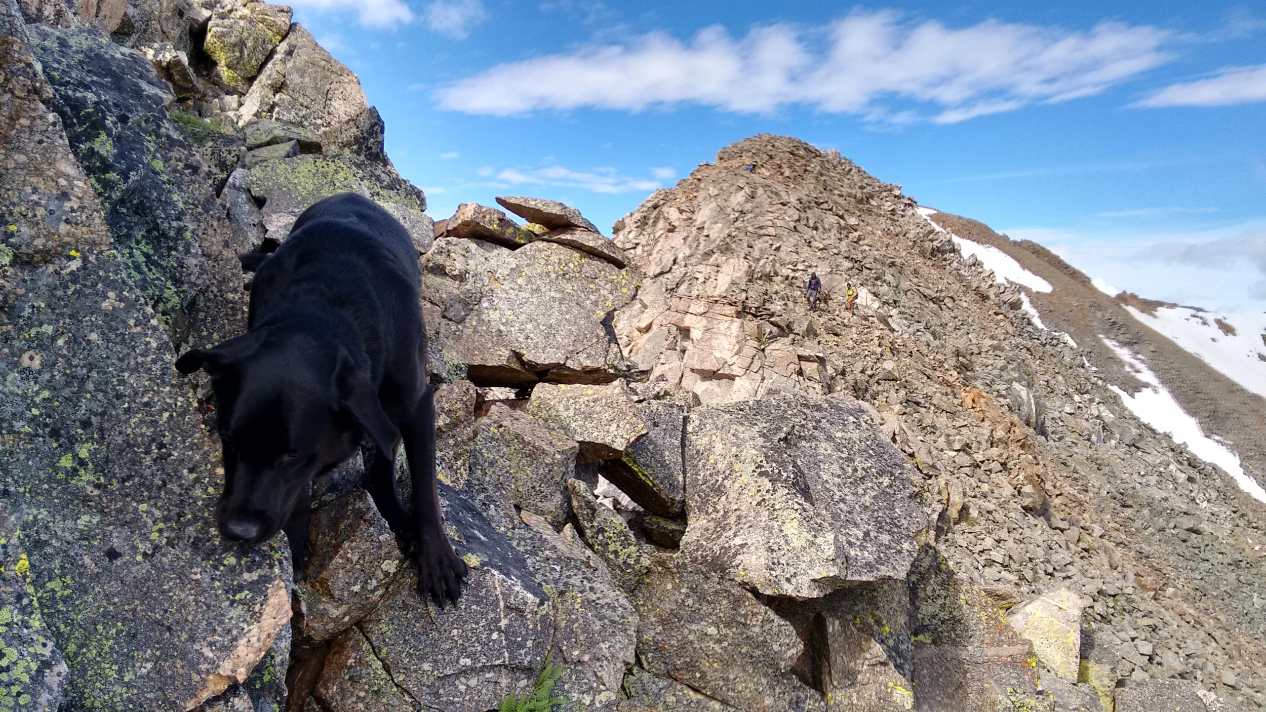 Missouri Missouri Belford... Lessons Learned