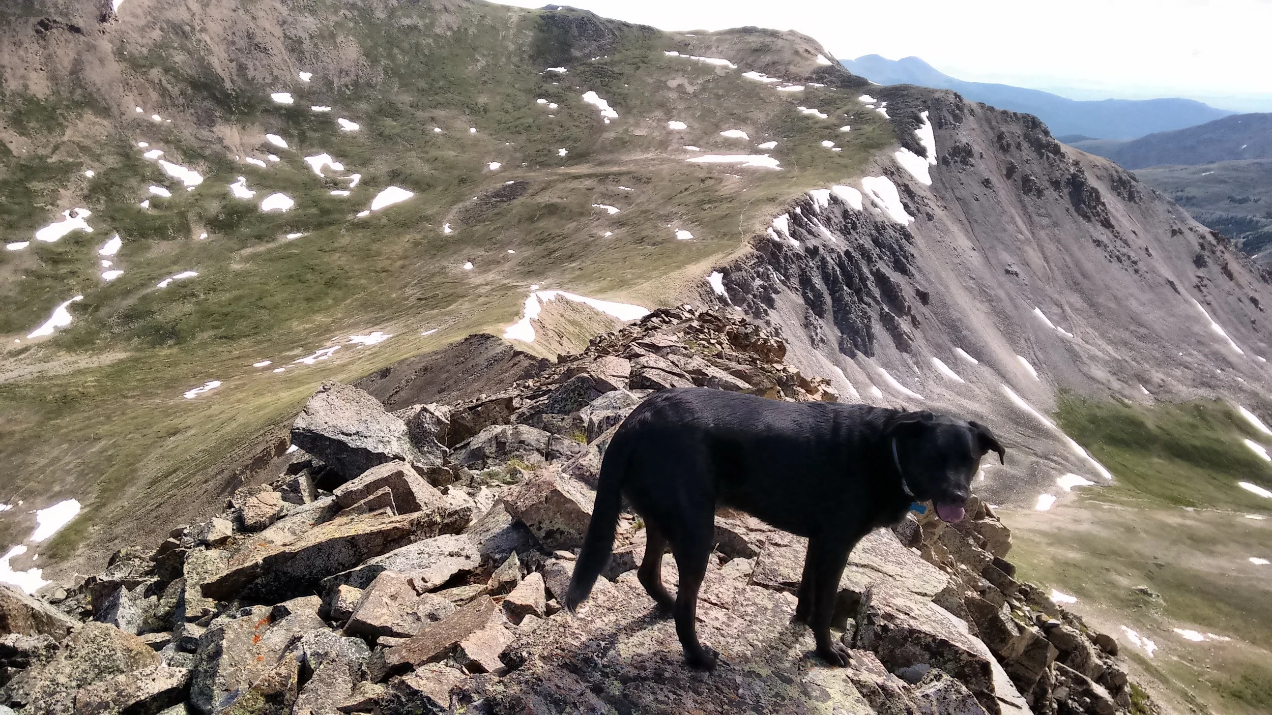 Mt. Missouri to Mt. Oxford to Mt. Belford
