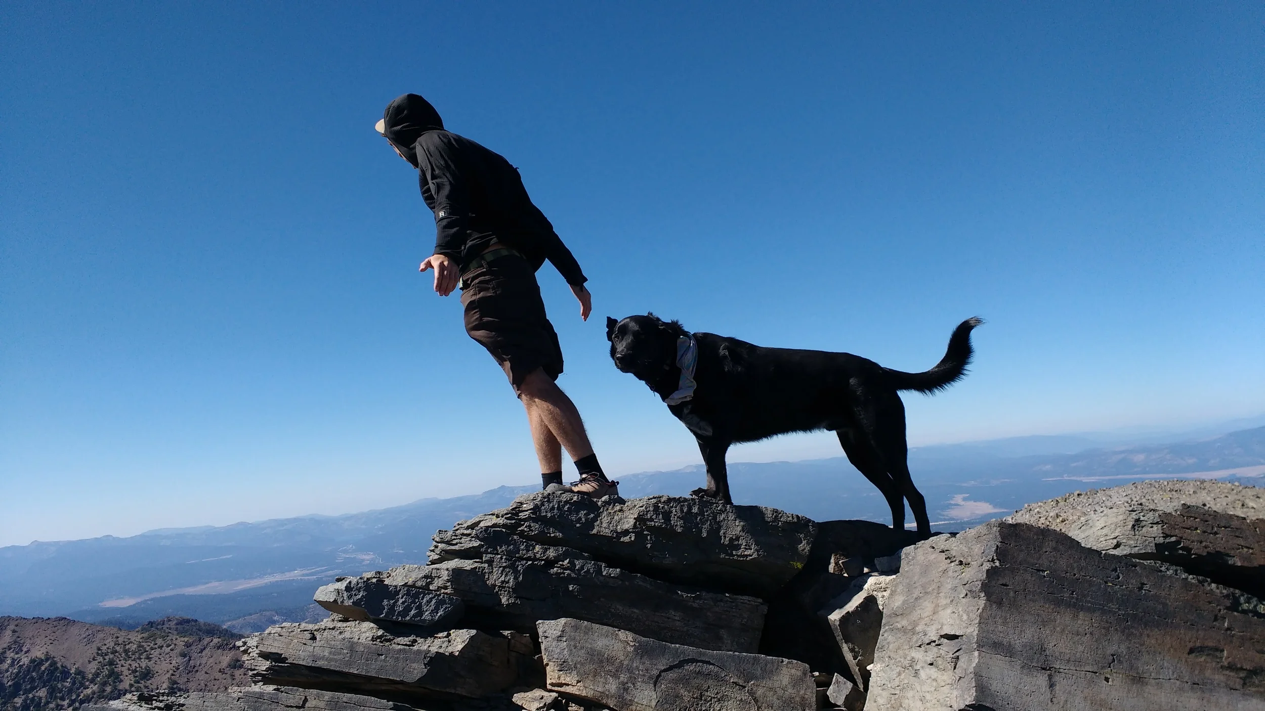 Running Mountains. Rose.