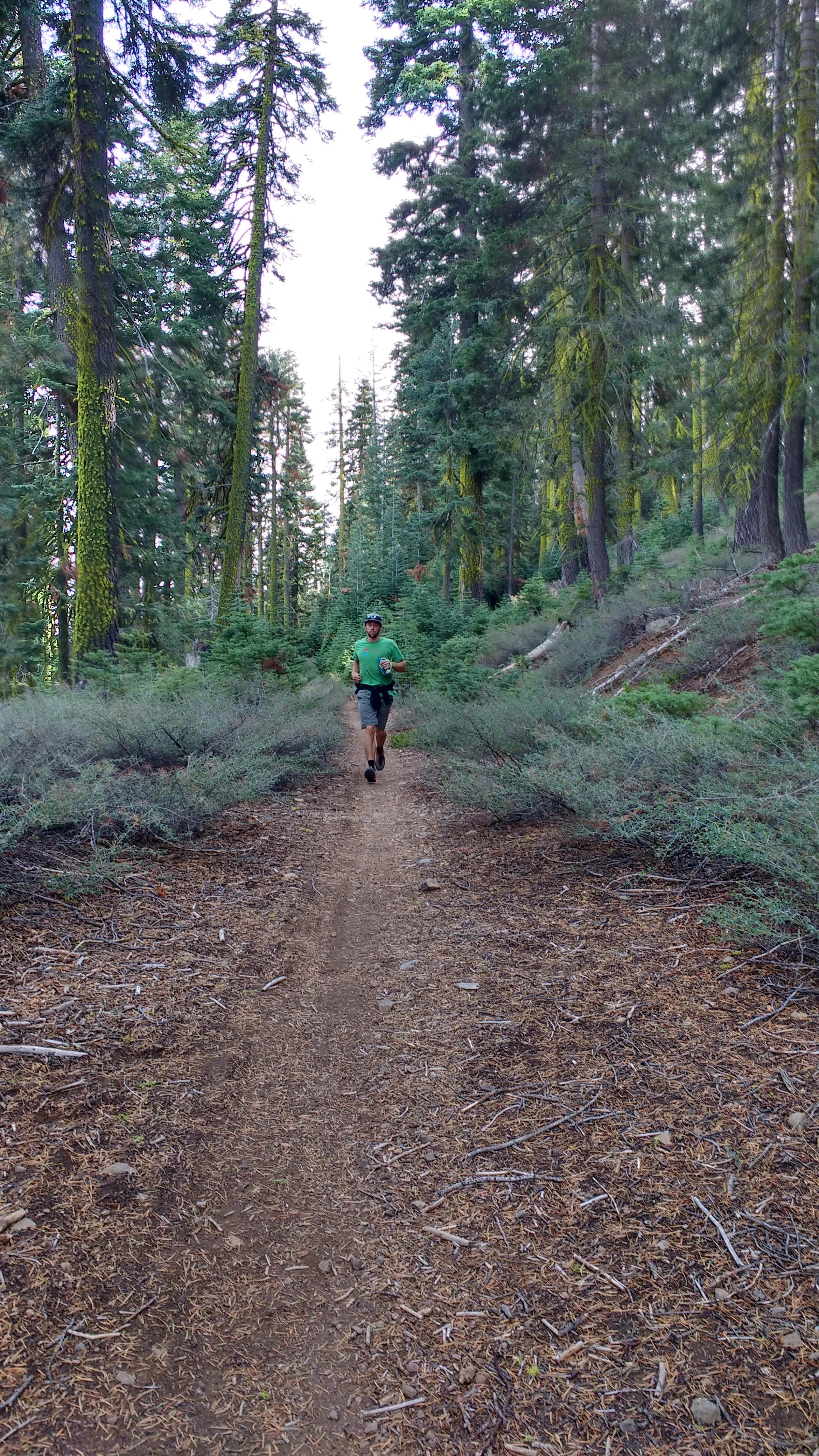 Tahoe Rim Trail Fun?