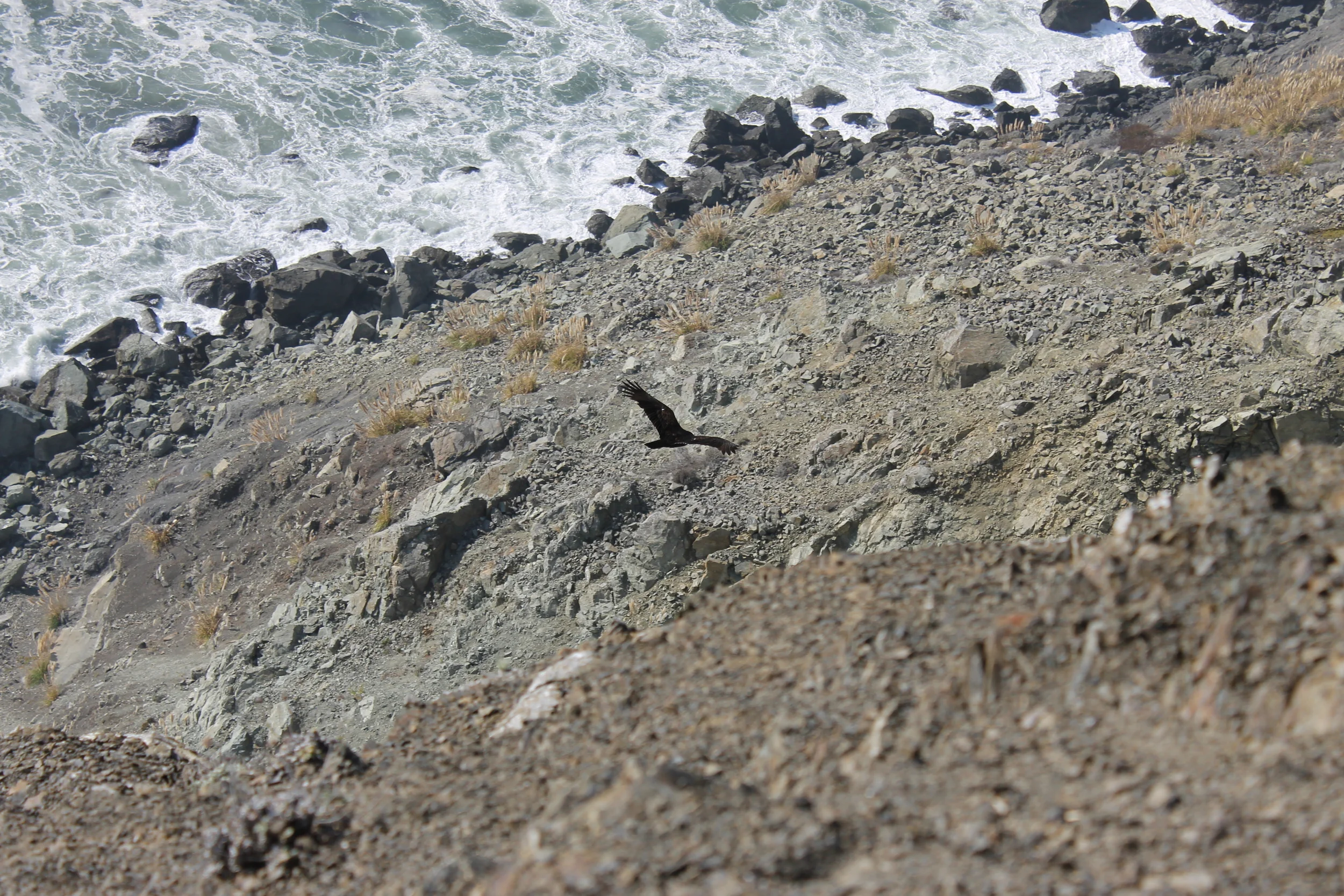 Me Racing What? Table Rock 10k