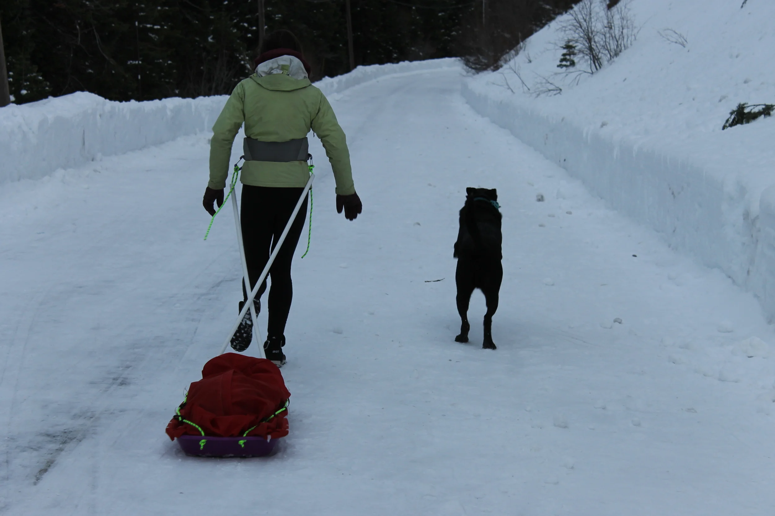 How To Build A Running Sled