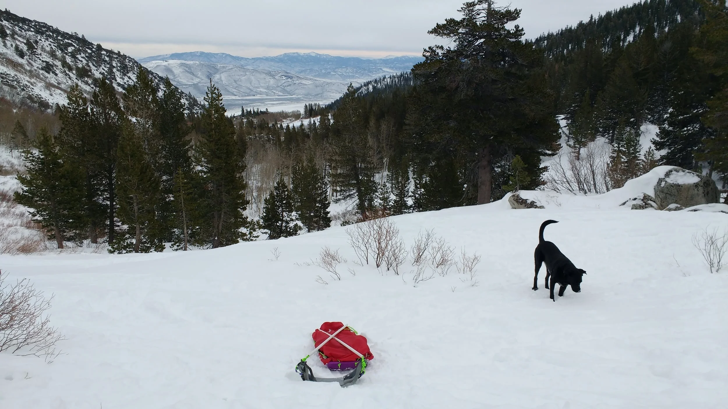 Where to Run with a Sled (in Tahoe)