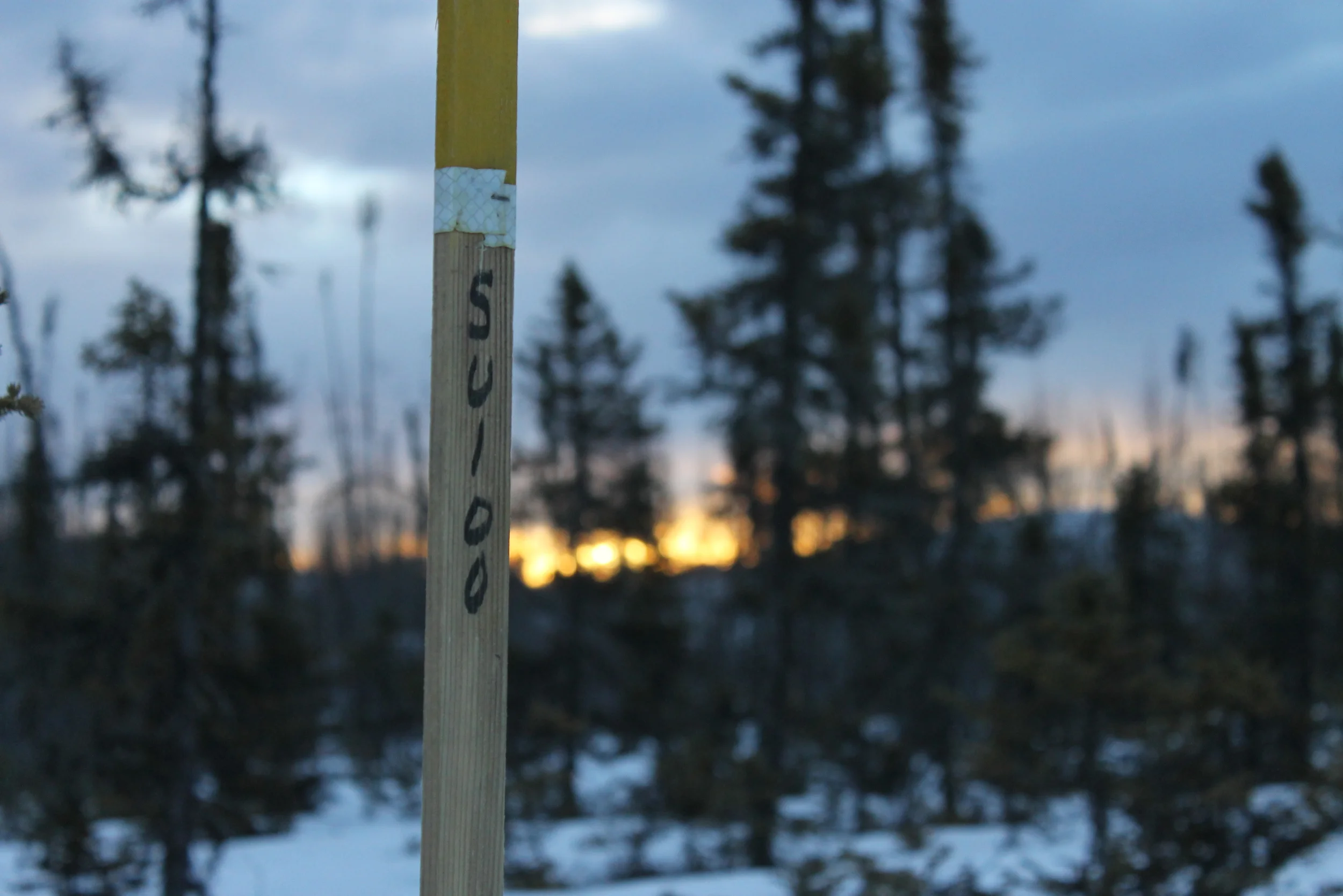 Susitna 100 - A Race Across Frozen Alaska
