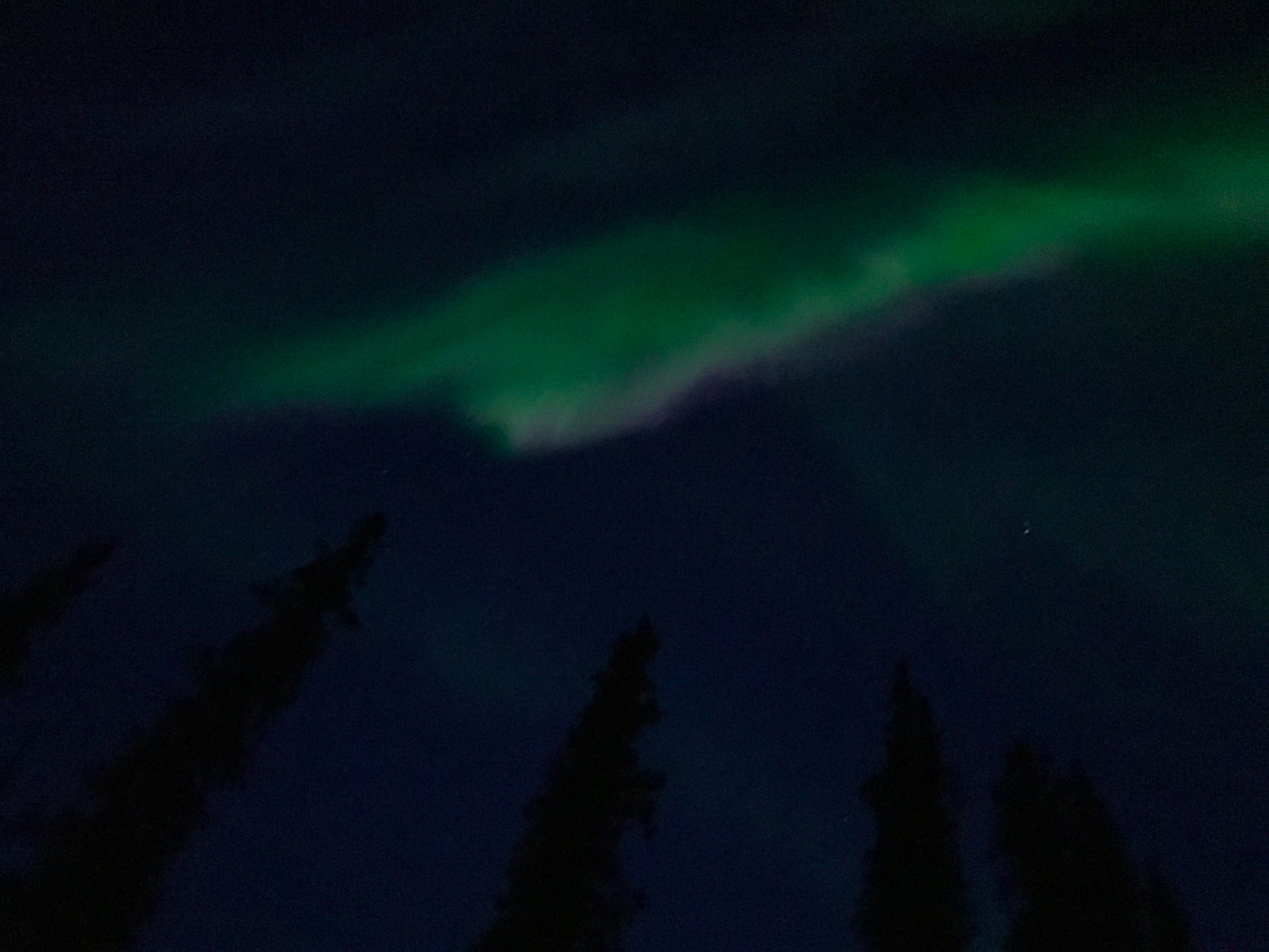 White Mountain 100 - Cold Really Cold