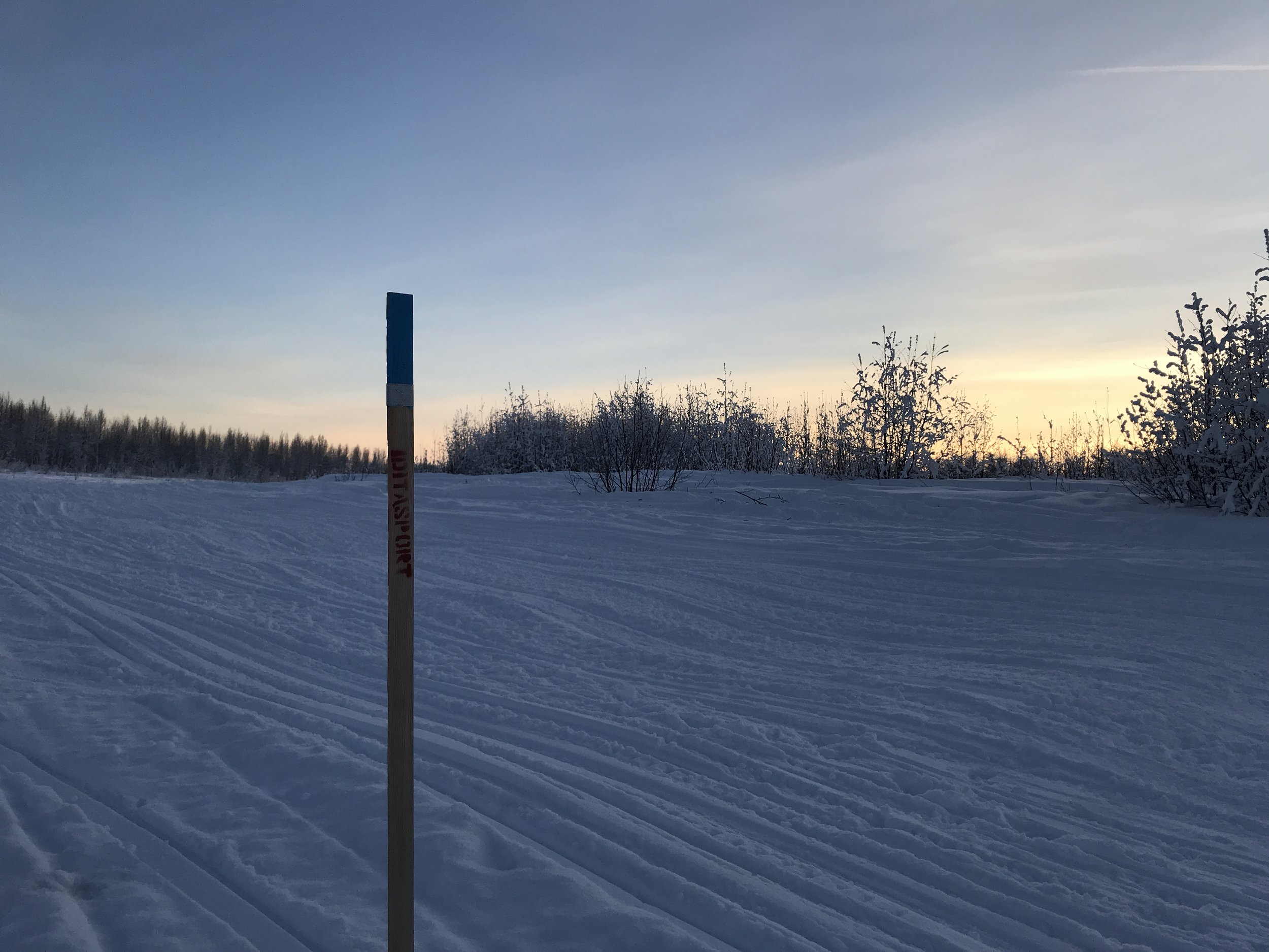 Iditasport- Ididntsport