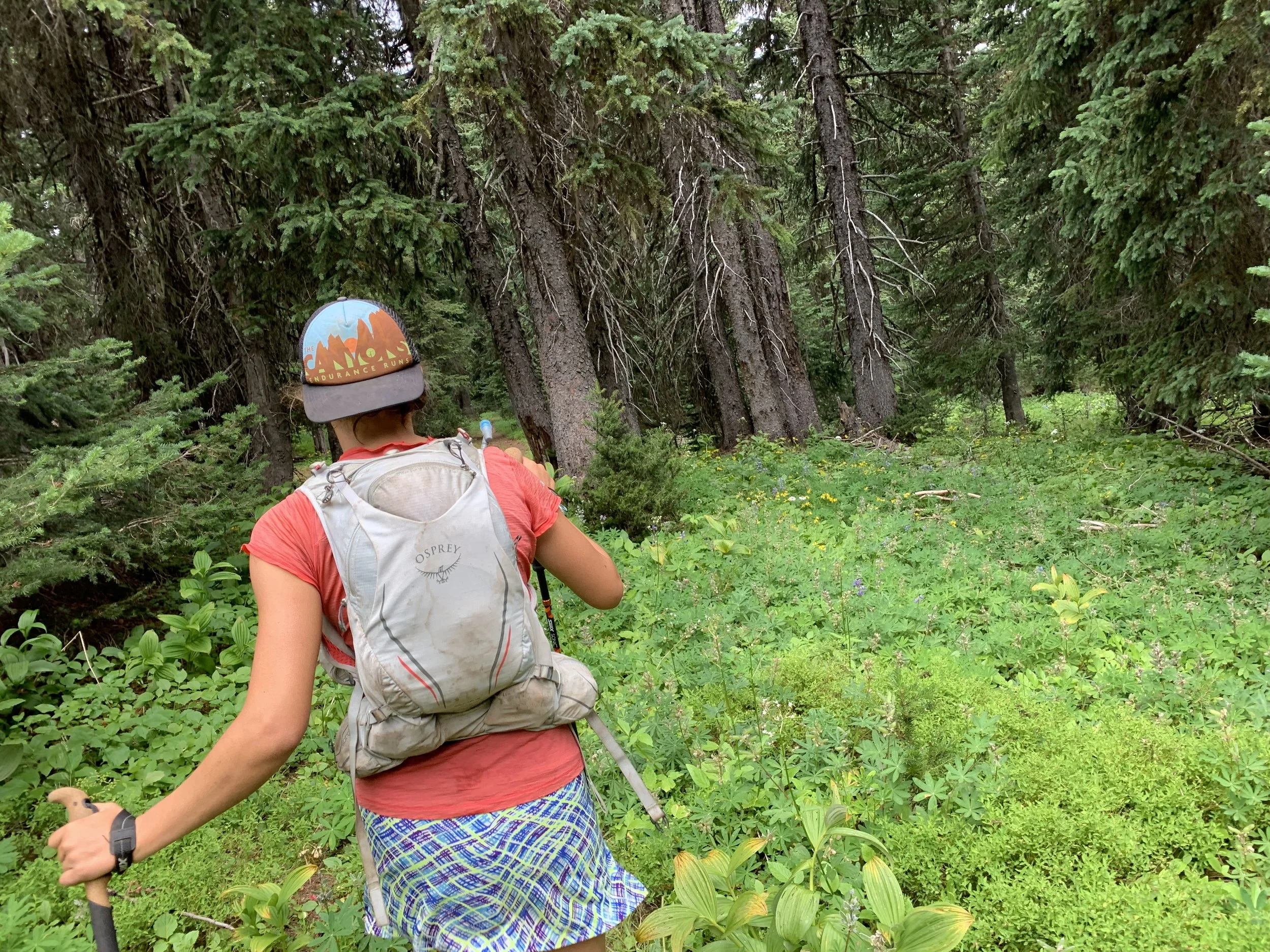 Fat Dog 120 - Millimeters 