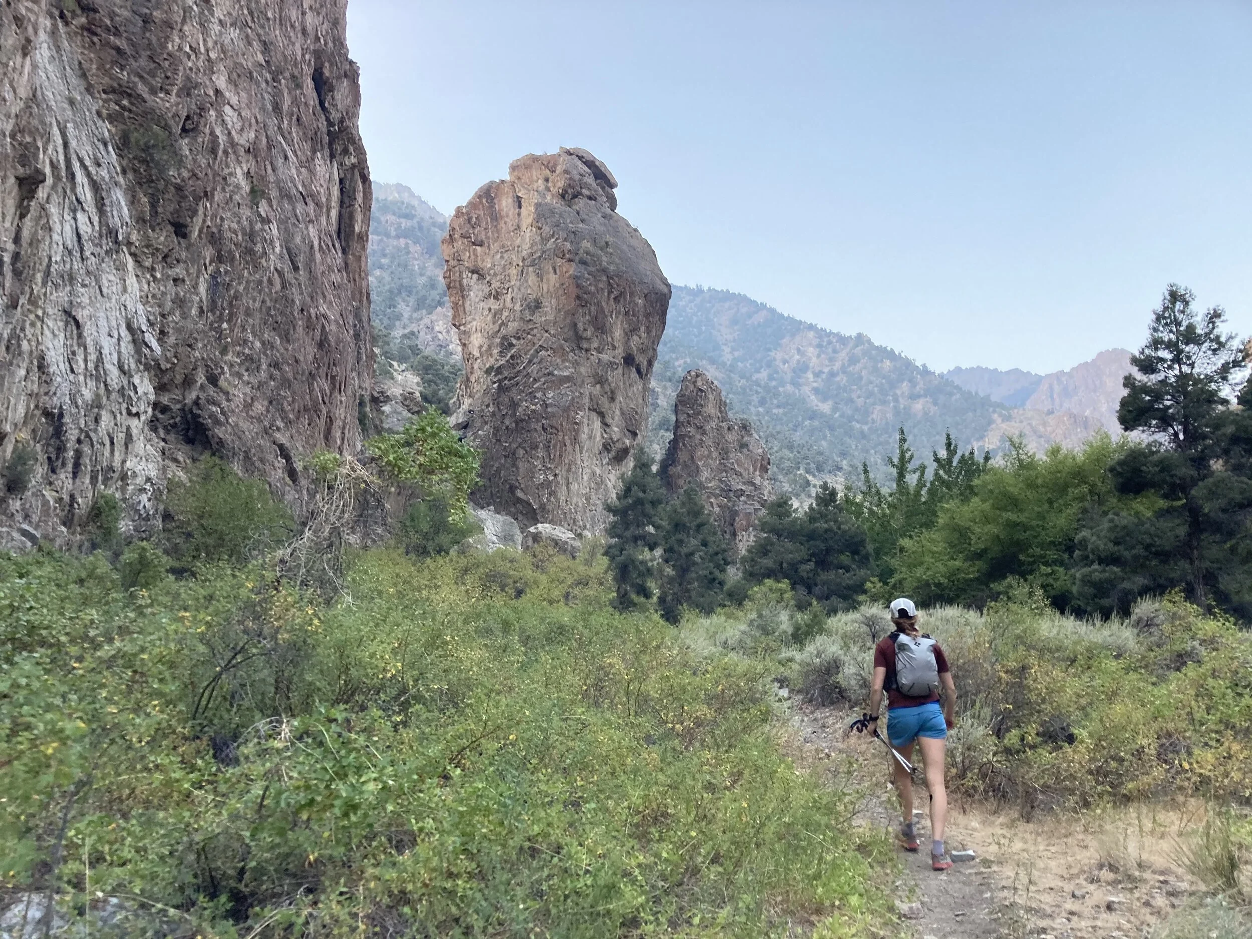 Toiyabe Crest Trail - An Arc in Arc Dome Wilderness