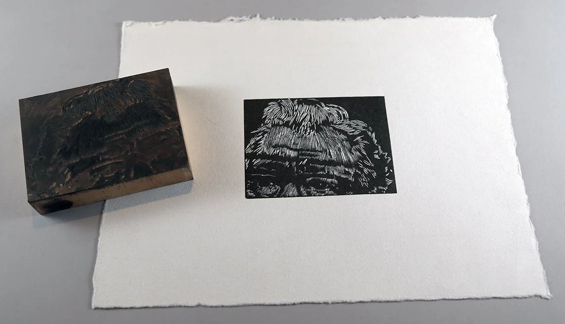 Dirkson with Block.jpg