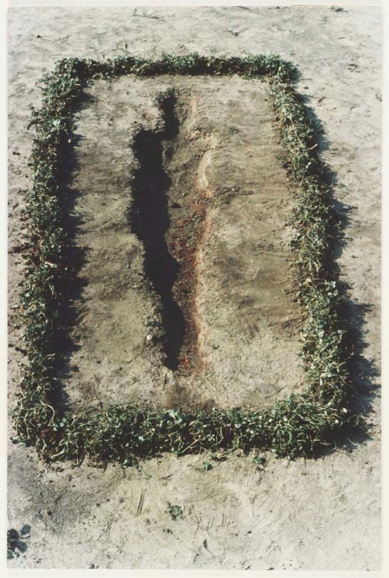 ana mendieta.jpg