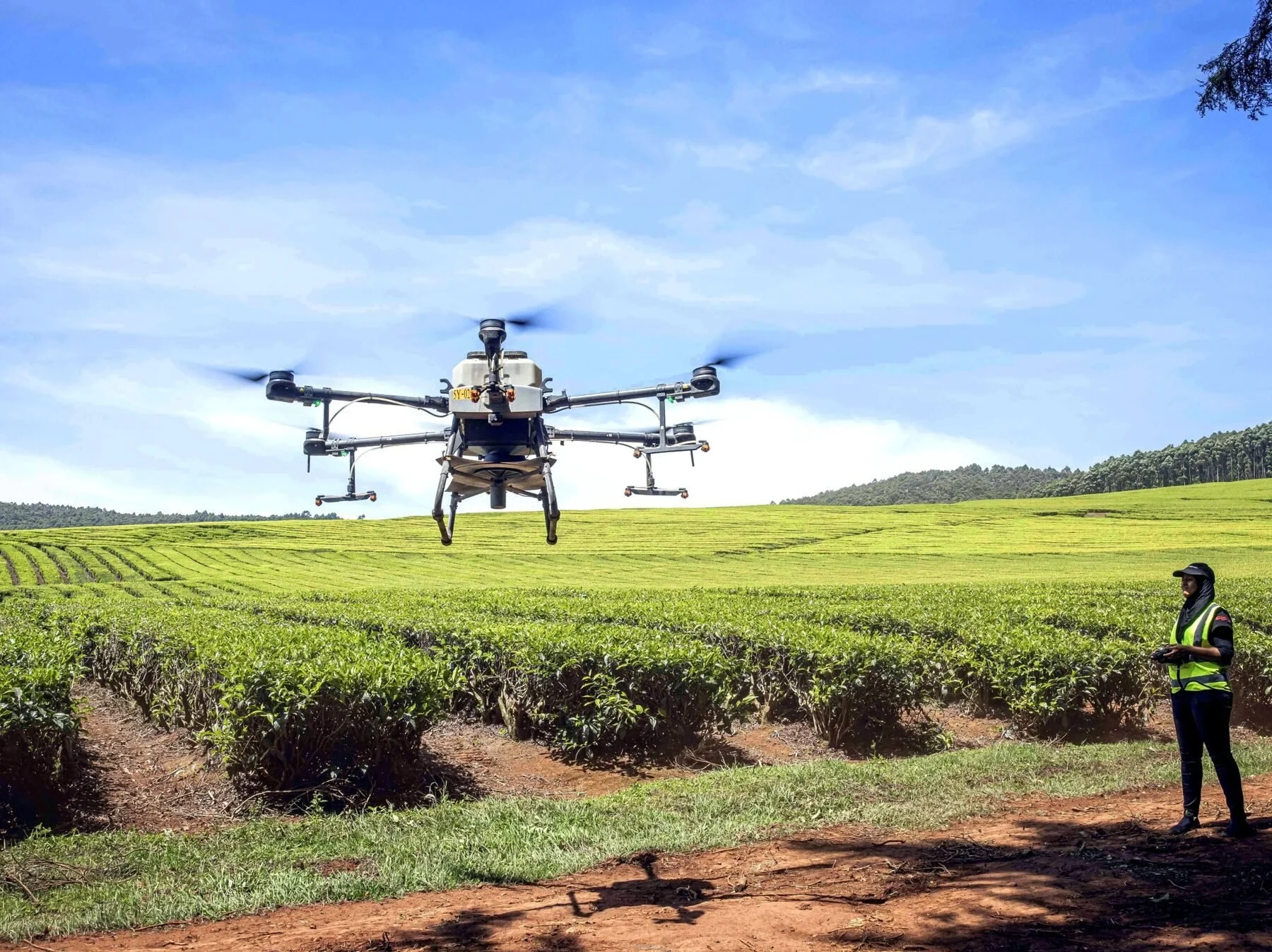 hero-drone-tea-field.jpg
