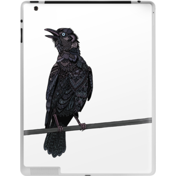 iPad Skins