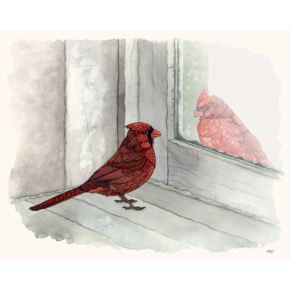 web-cardinal.png