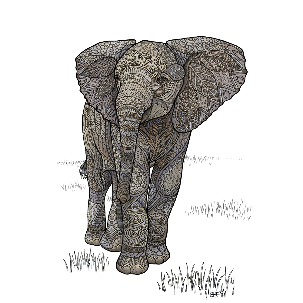 A happy little adolescent elephant, unaware that he's about to trip over his own feet in front of the entire herd. Pen, pencil, and watercolor on Bristol board. Original available for sale - $150, 8 3/4” x 12” Shop prints and products on Society6 and Redbubble