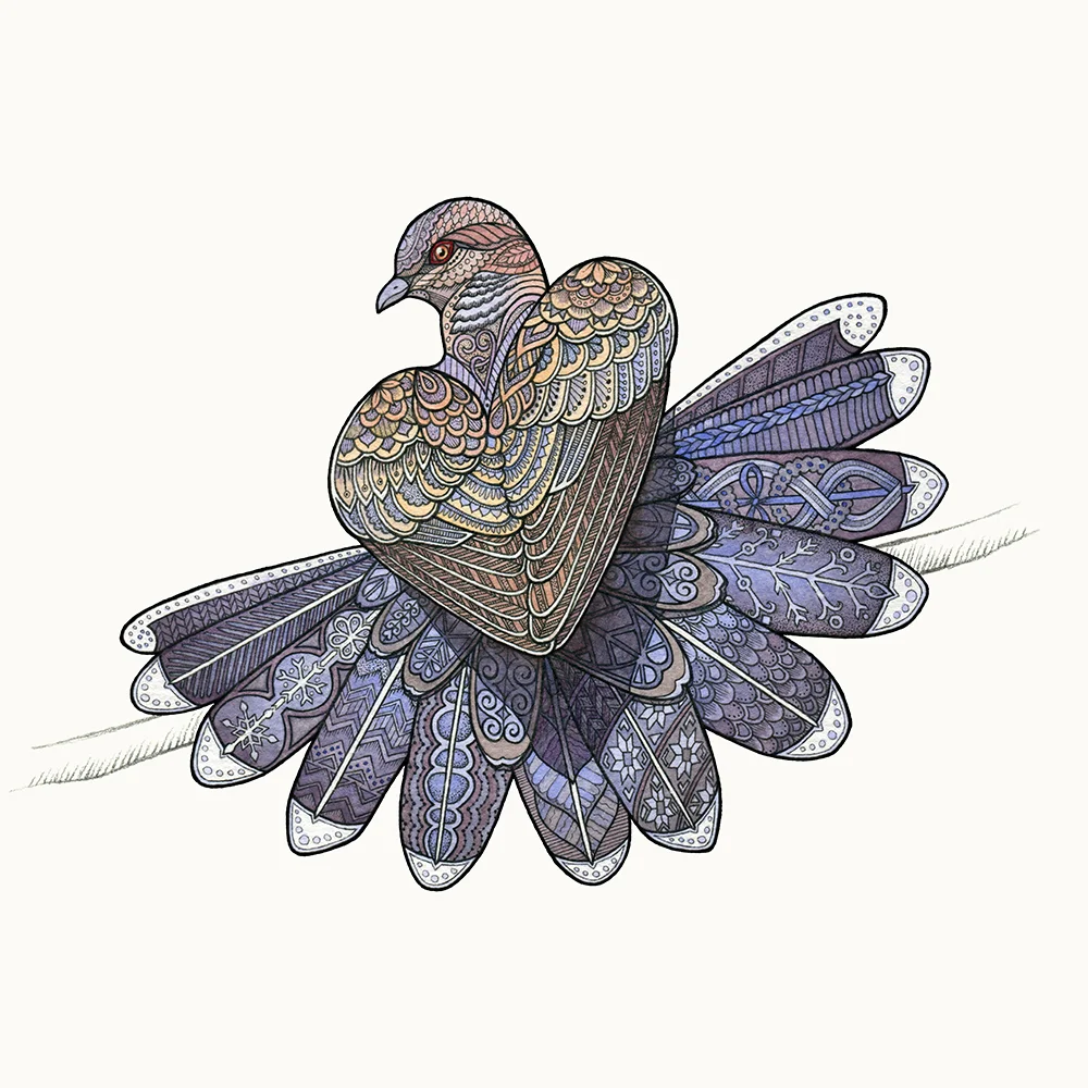 web-turtledove.jpg