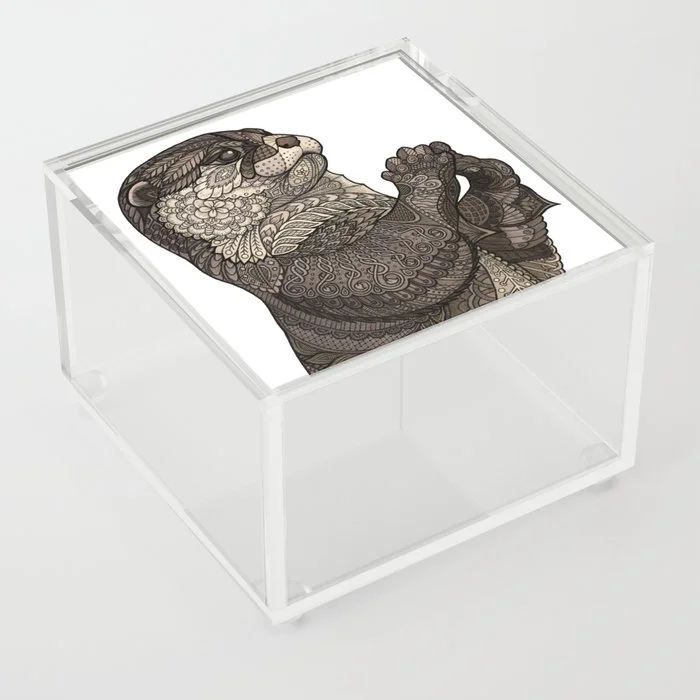 Acrylic Boxes