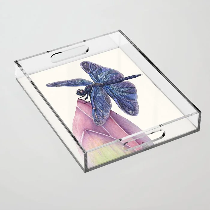 Acrylic Trays