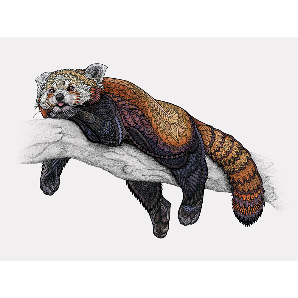 According to my extremely scientific research, red pandas spend approximately half their time napping in trees, and the other half being astonished by their own fluffy tails. Pen, pencil, and watercolor on mixed media paper. Original available for sale - $200, 14” x 11” Shop prints and products on Society6 and Redbubble