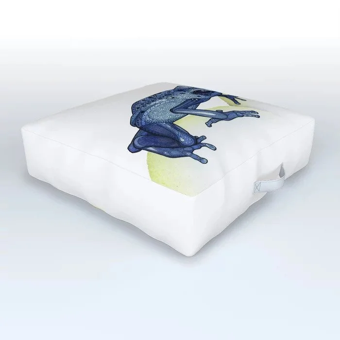 Outdoor Floor Pillows