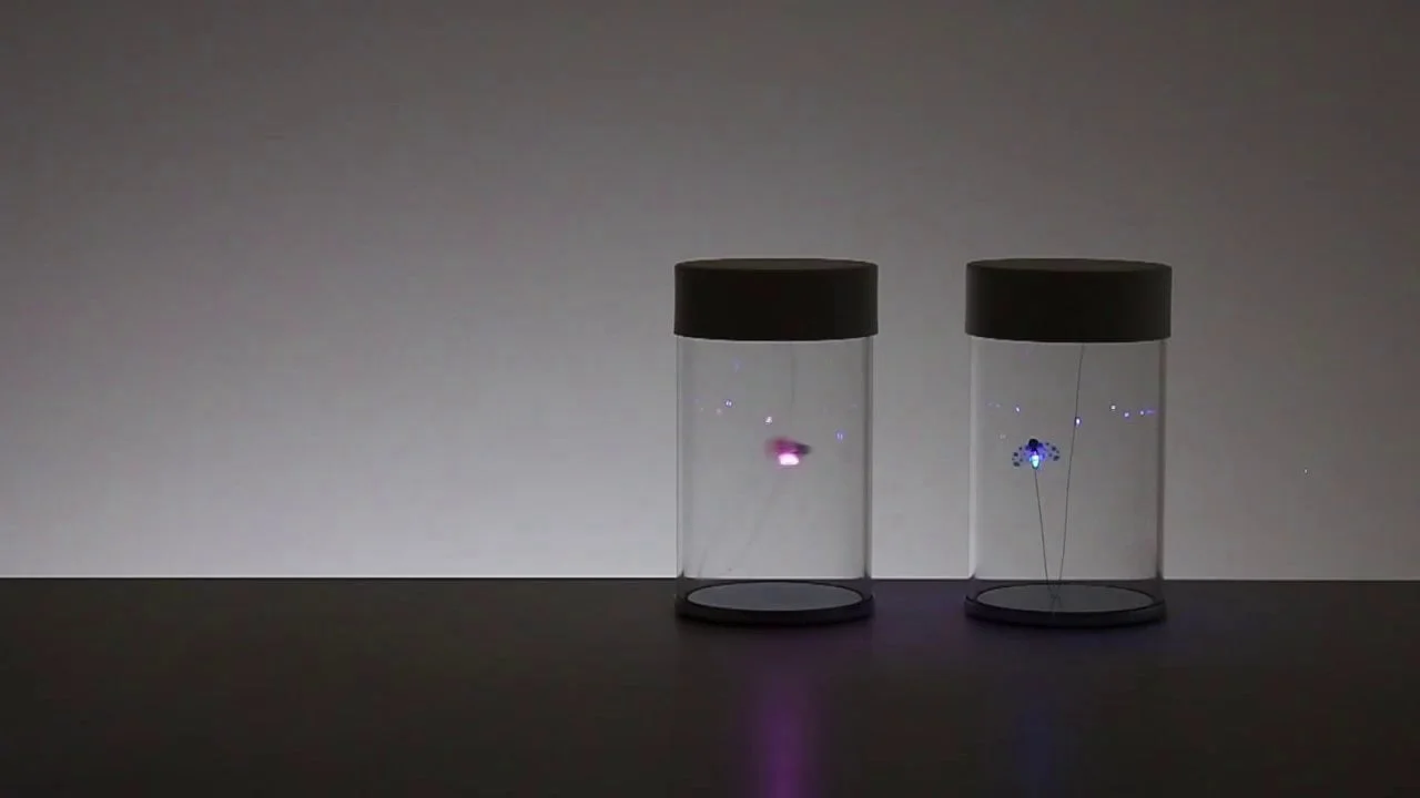 454145300_1280x720.jpg