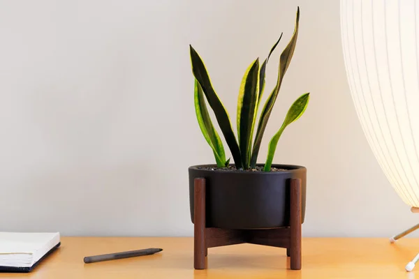 desktopmodernica.jpg